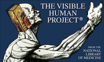 VisibleHumanProjectLogo.png